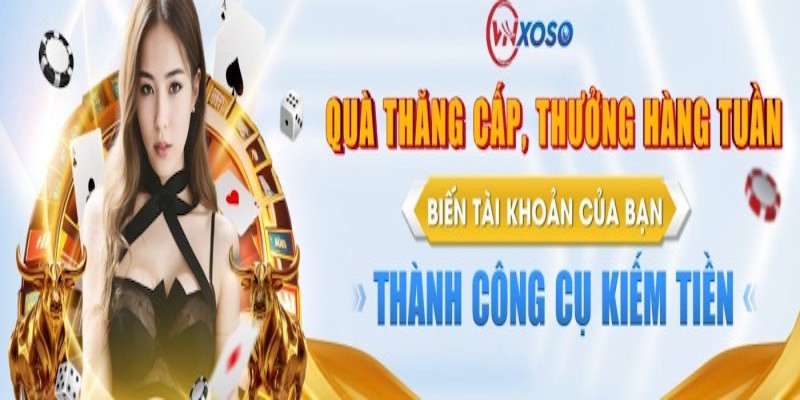 Những thông tin mà Tudotgvn.org cung cấp hữu ích